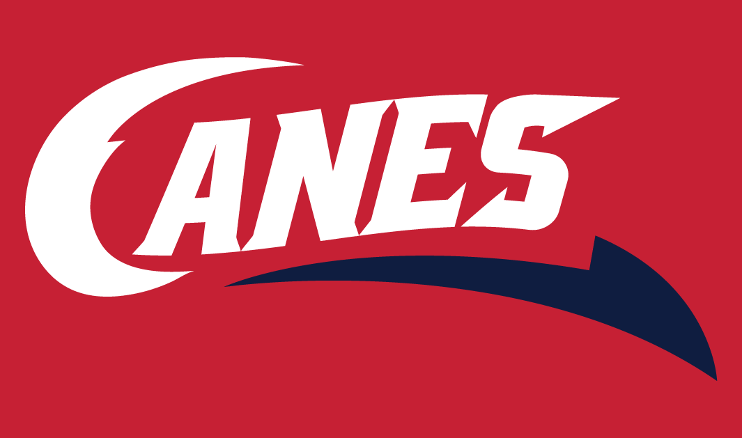 Lethbridge Hurricanes 2013-Pres Secondary Logo iron on transfers for clothing